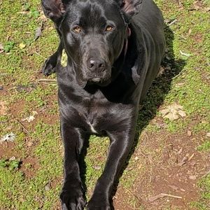 Meet your Posher, Deanna